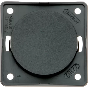 W4 Berker Blanking Plate - Anthracite