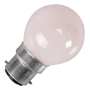 W4 240V 40W Globe Bulb