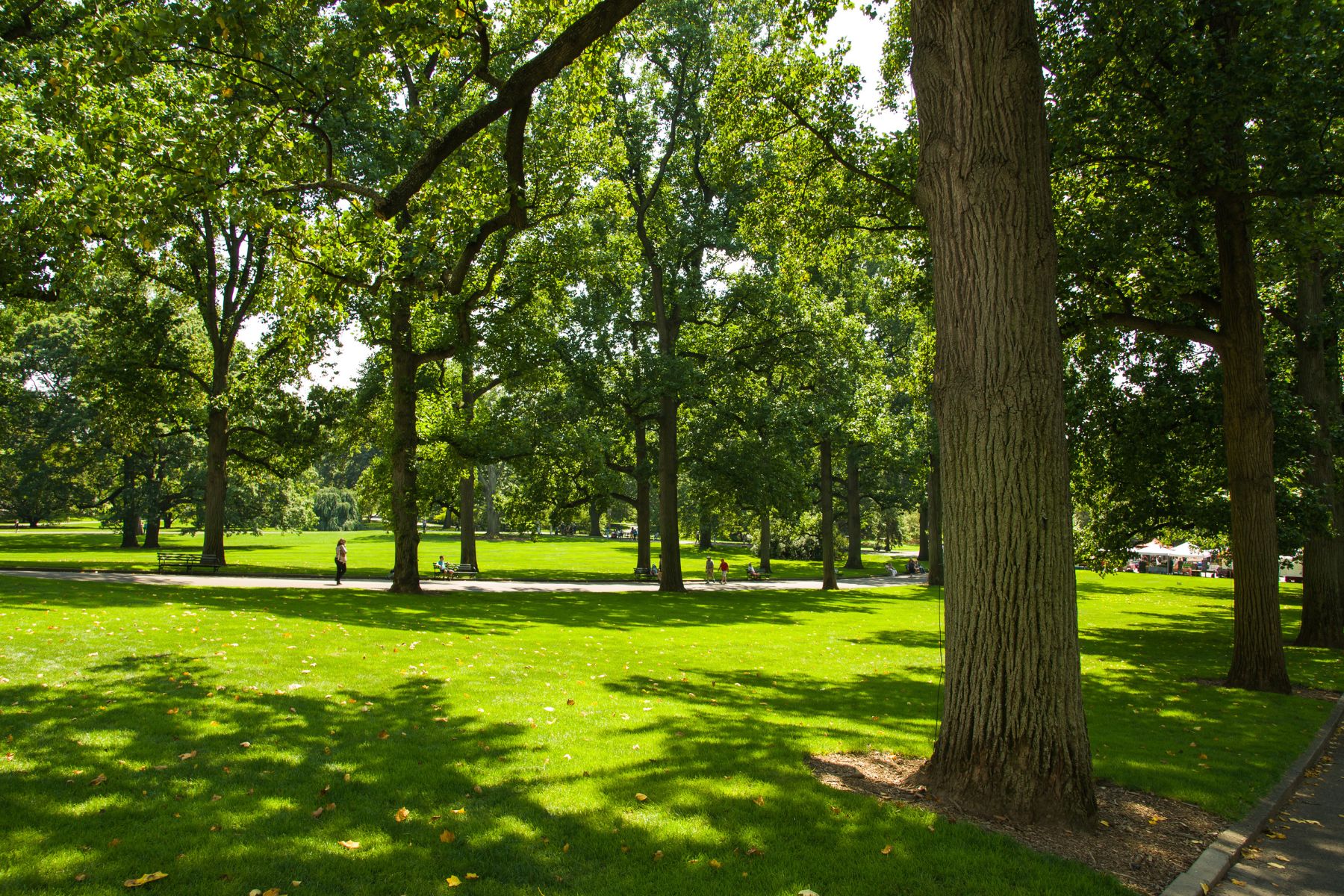 Green & Open Spaces